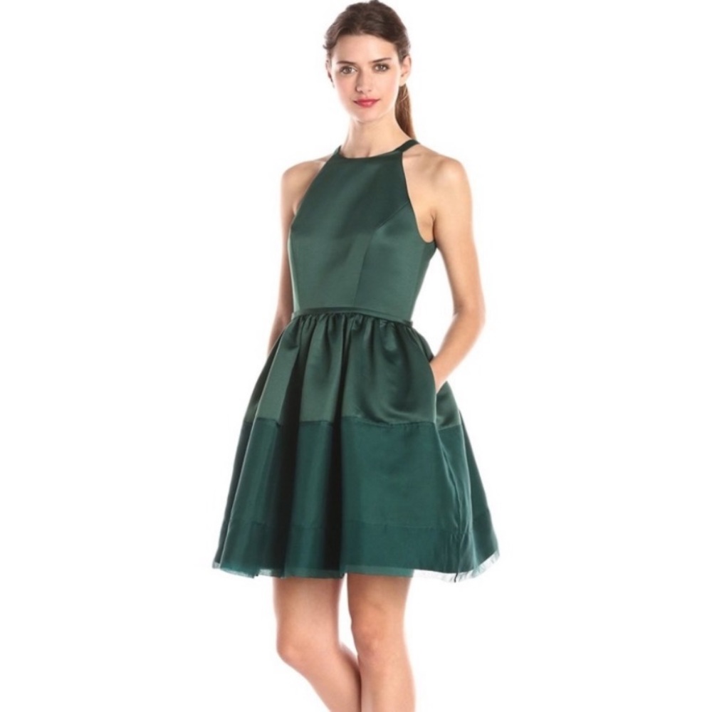 NWT Erin Fetherston Dress